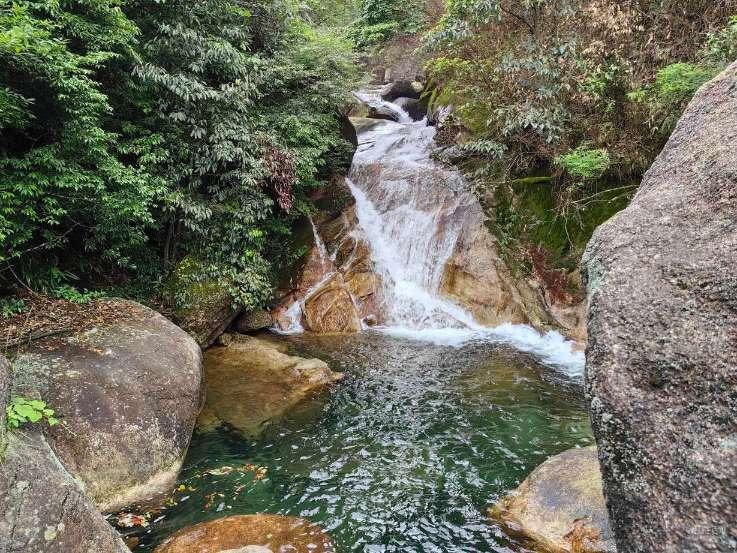 屋里湿度大适合放盆栽植物吗为什么？
