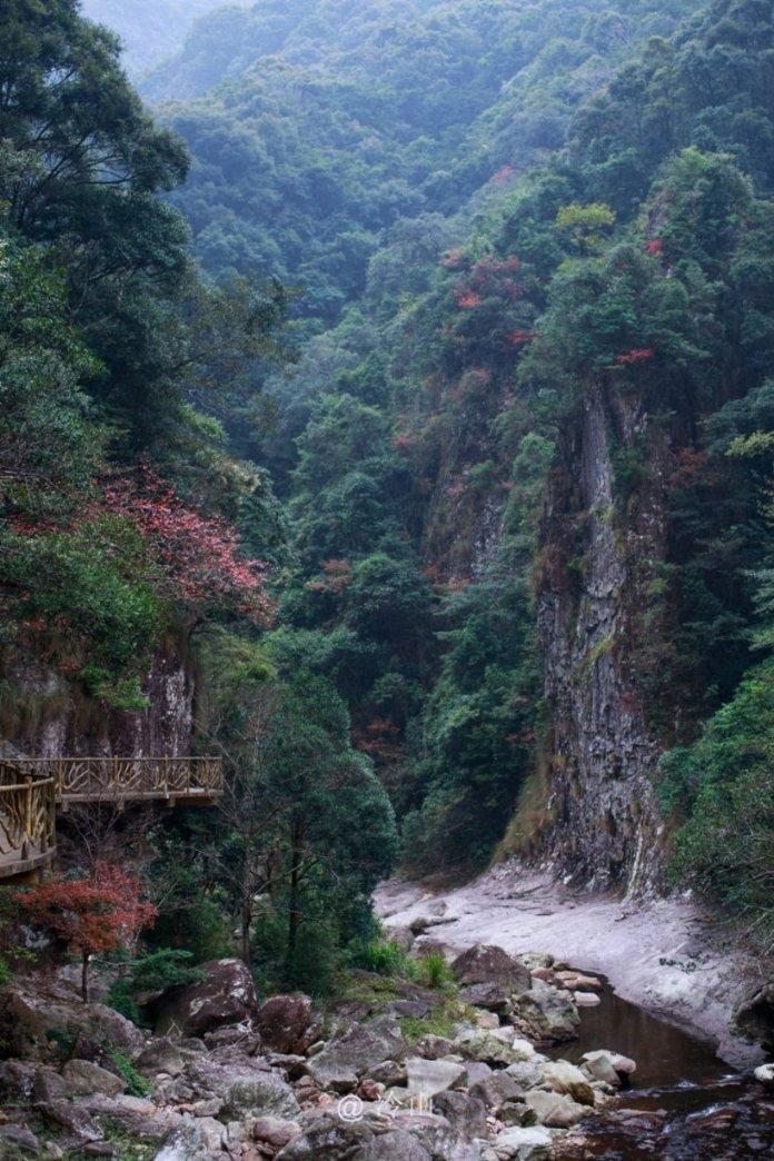 解惑蜗牛,
